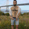 silv779