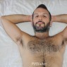 silv1336