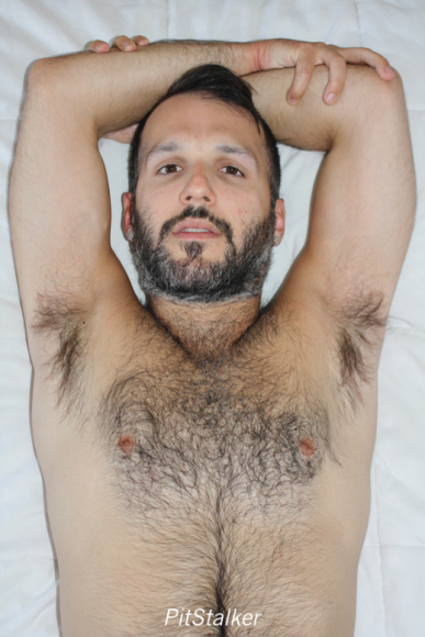 silv1340