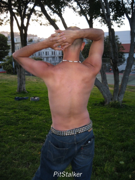 will_w179