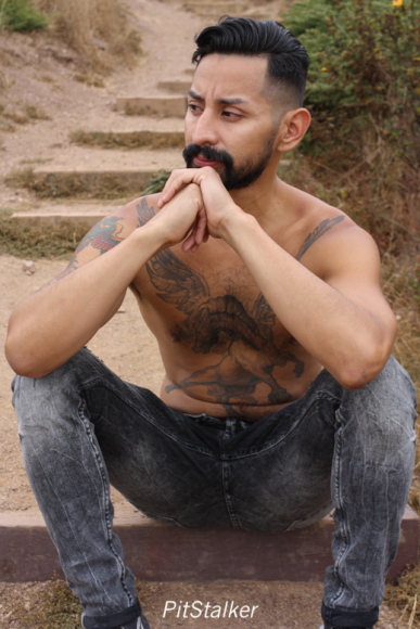 xavier_e743