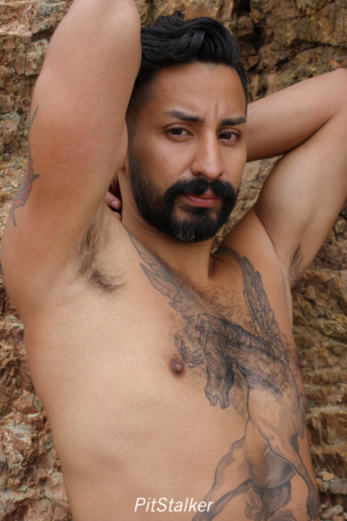 xavier_e784