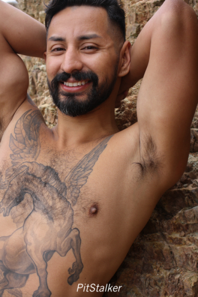 xavier_e786