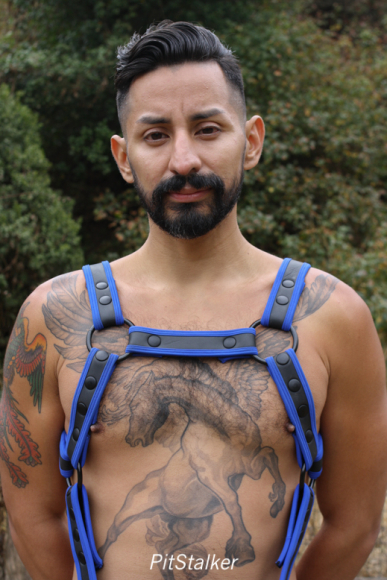 xavier_e857