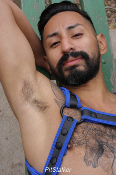xavier_e883