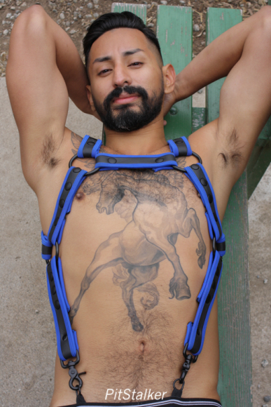 xavier_e888