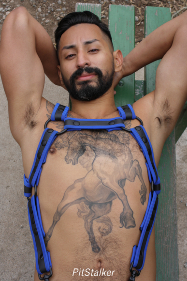 xavier_e889