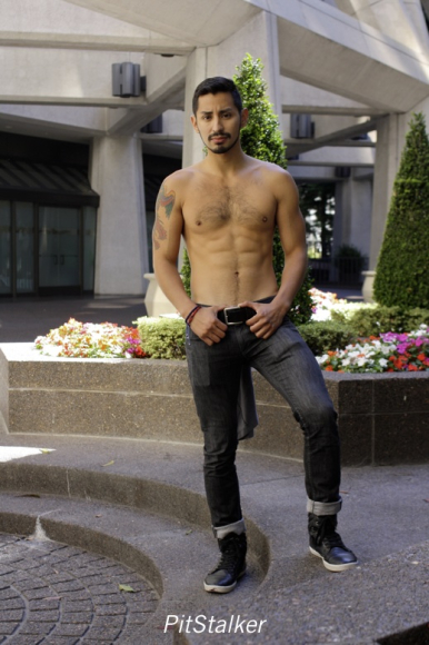 xavier_e231