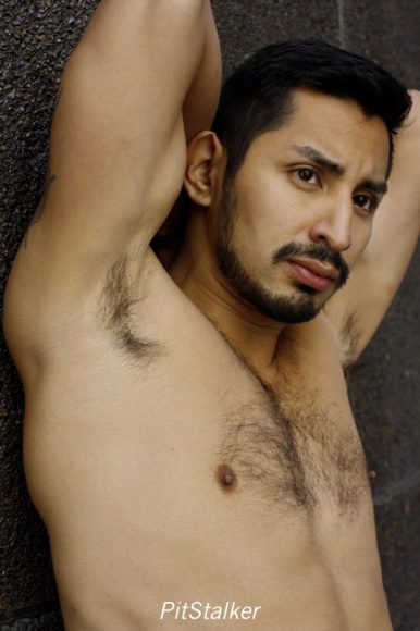xavier_e245