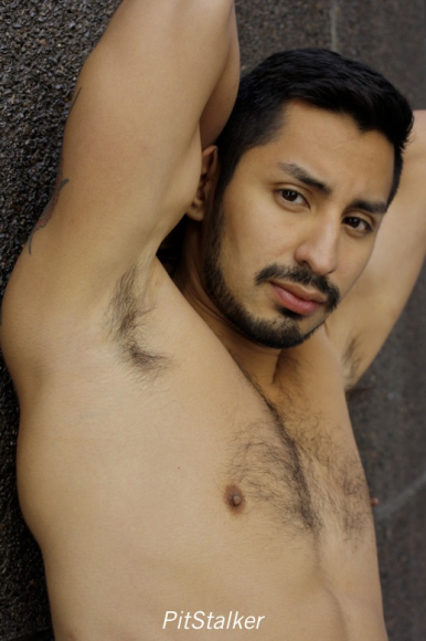 xavier_e246