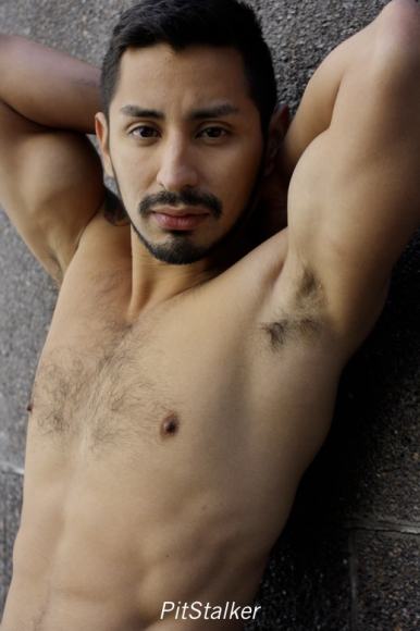 xavier_e251