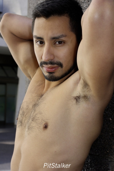 xavier_e252