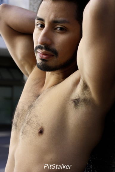 xavier_e253