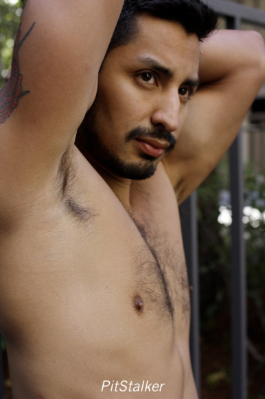 xavier_e304