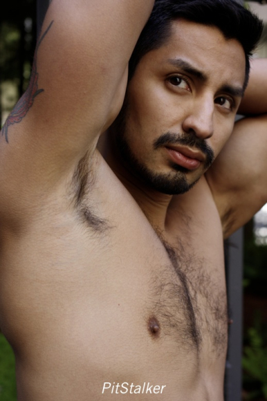 xavier_e305