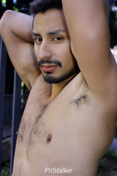 xavier_e306