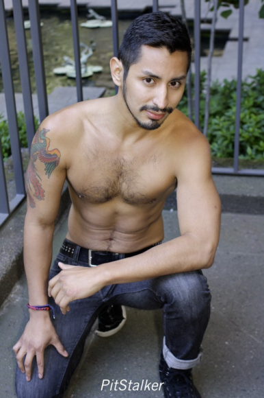 xavier_e339