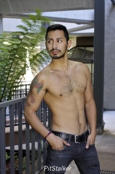 xavier_e341