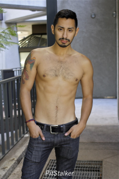 xavier_e342