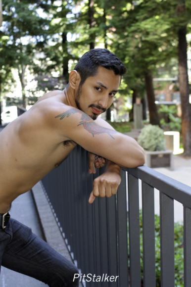 xavier_e347