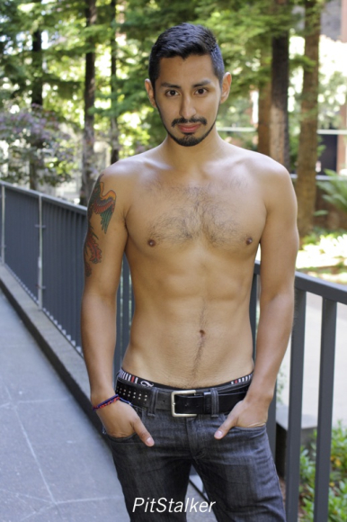 xavier_e352