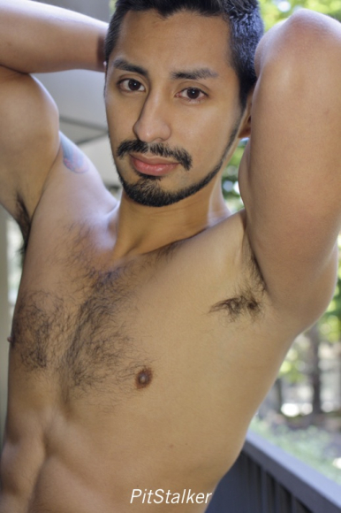 xavier_e357