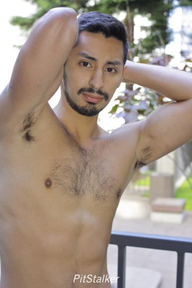xavier_e358