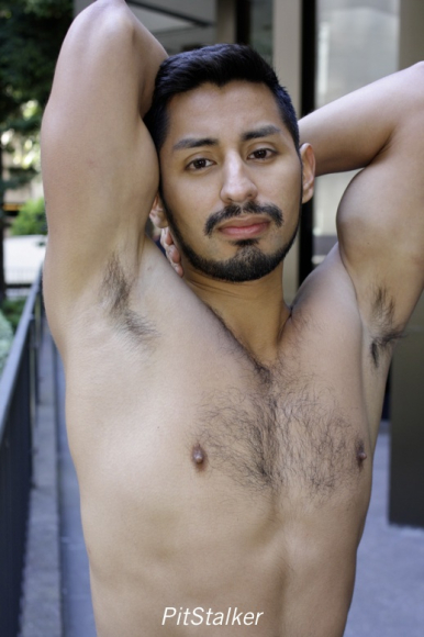 xavier_e364
