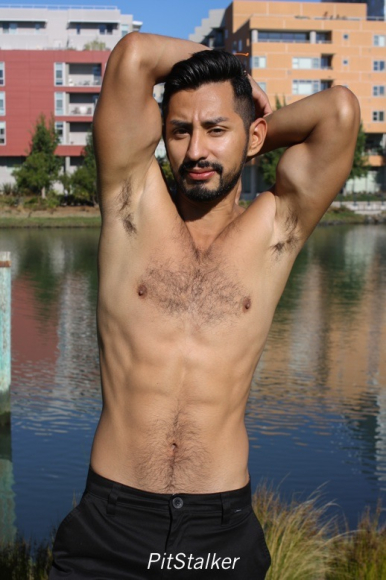 xavier_e441