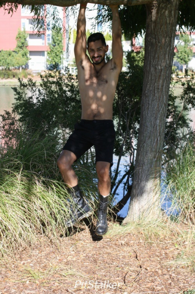 xavier_e447