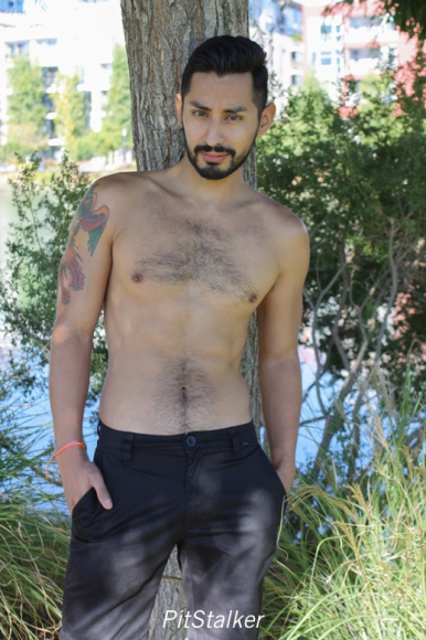 xavier_e455