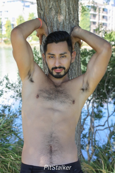 xavier_e462
