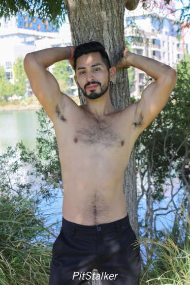 xavier_e466