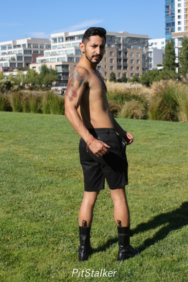 xavier_e491
