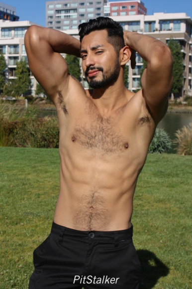 xavier_e499