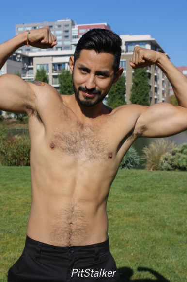 xavier_e500