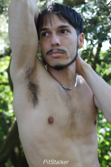 enoch_p1260